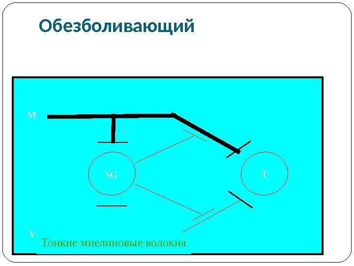 Импульсная терапия. Лечение импульсными токами низкой частоты и низкого н…