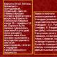 Разработка урока по мировой художественной культуре 