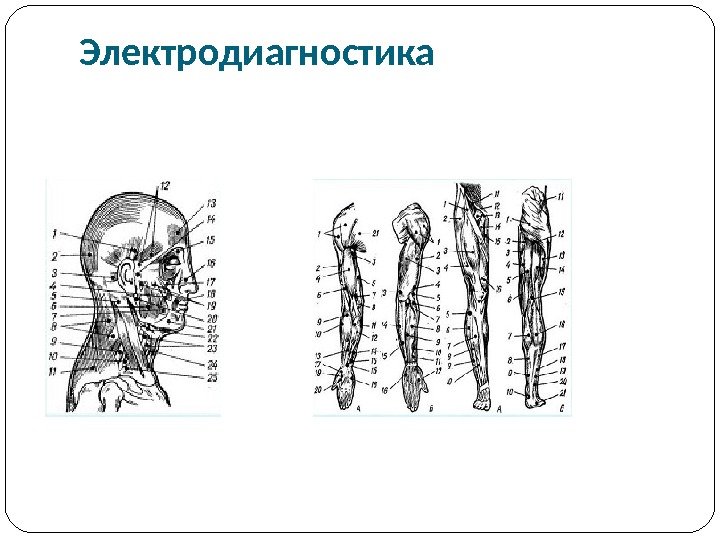 Импульсная терапия. Лечение импульсными токами низкой частоты и низкого н…